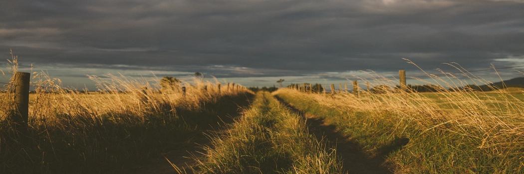 campo_ng's profile banner image