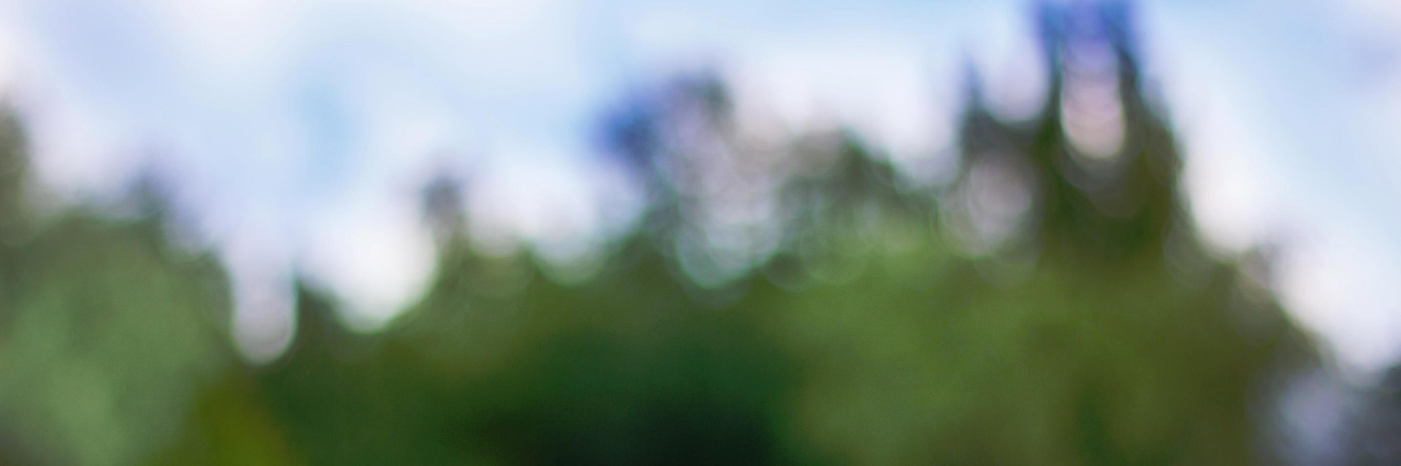 aariumofficial's profile banner image