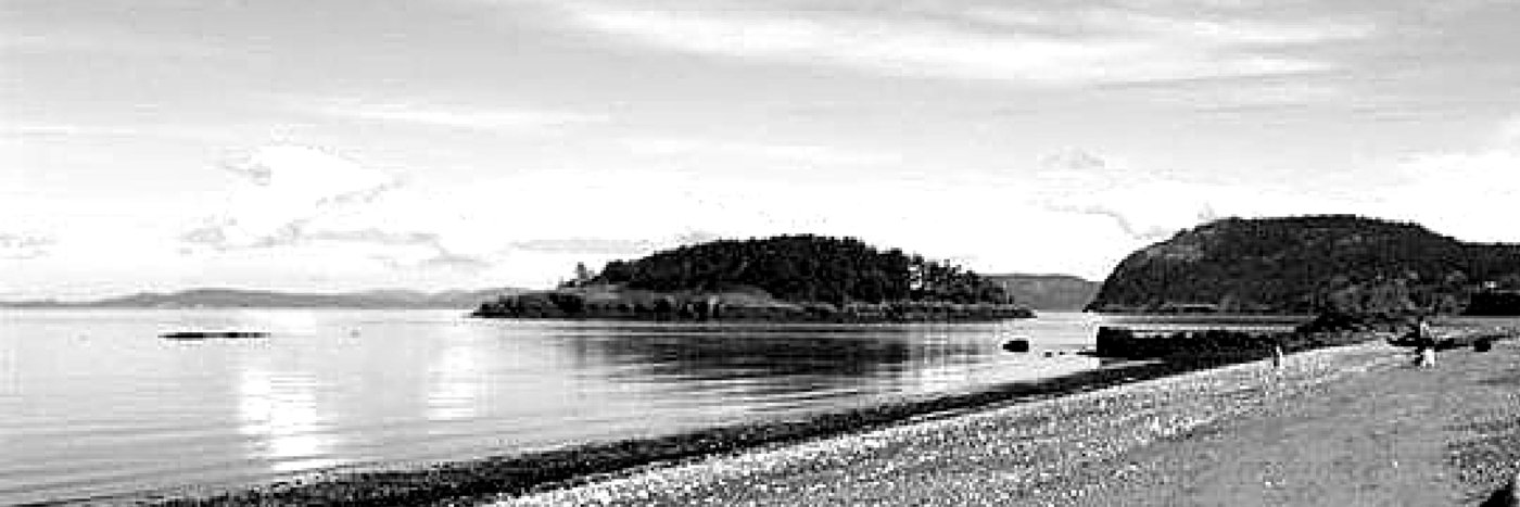 ams_willis's profile banner image