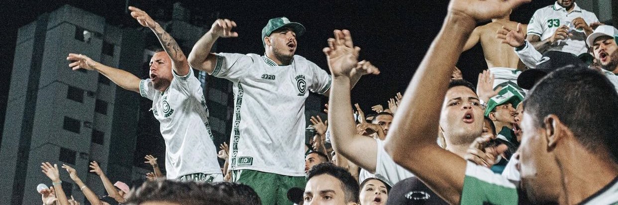 declieuxaraujo's profile banner image