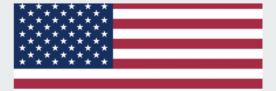 Florida Patriot banner