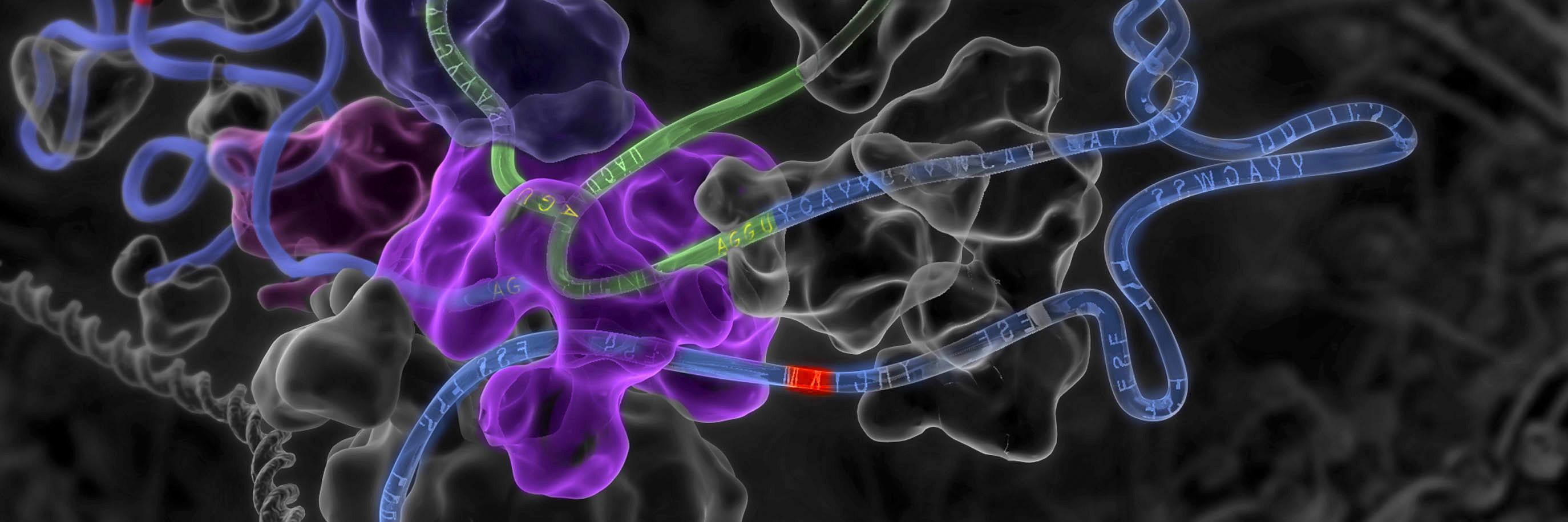 frey_lab's profile banner image