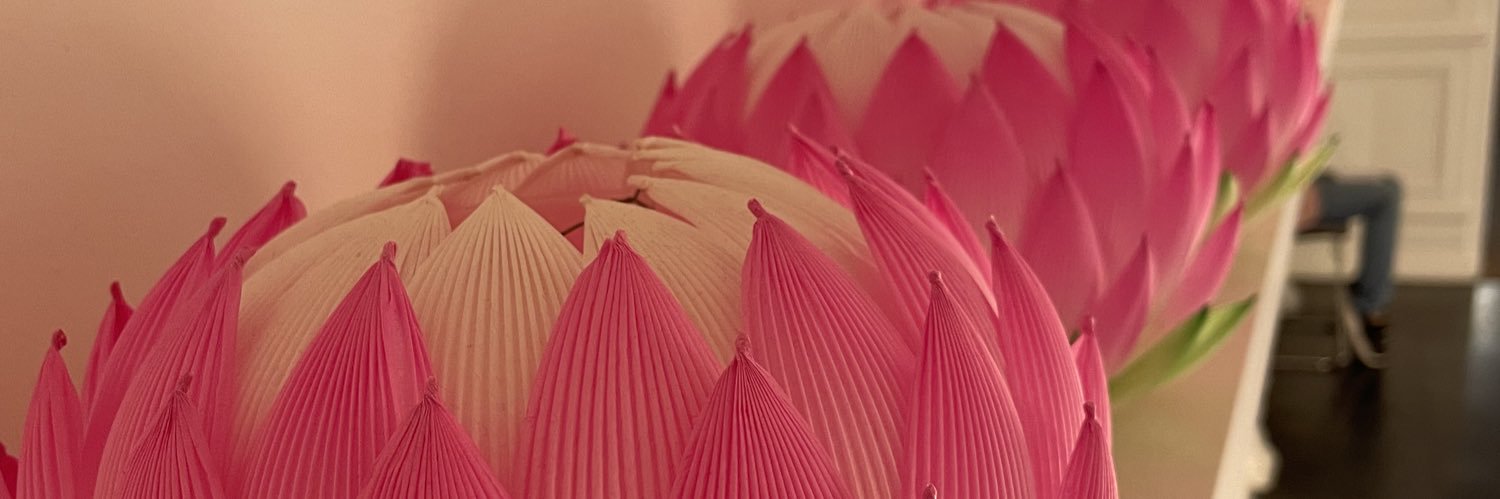 bcalmels's profile banner image