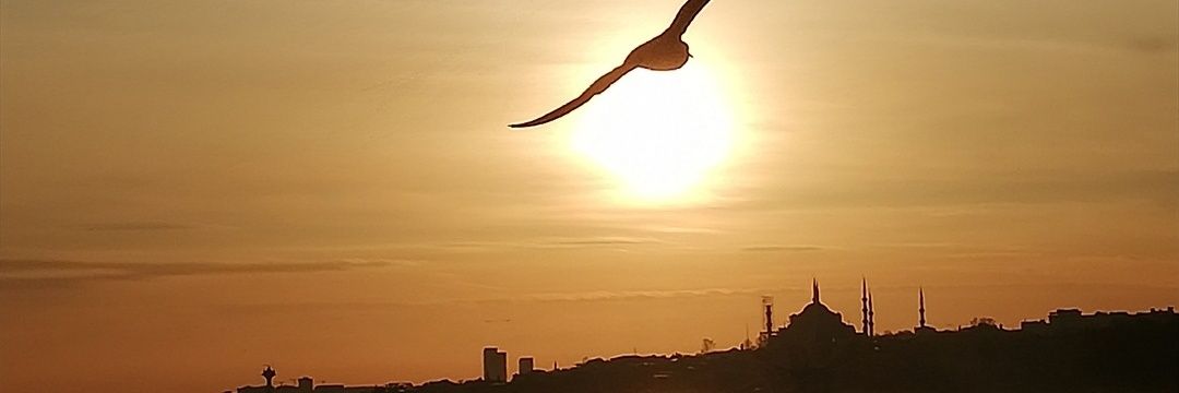 Deniz koydum adımı banner