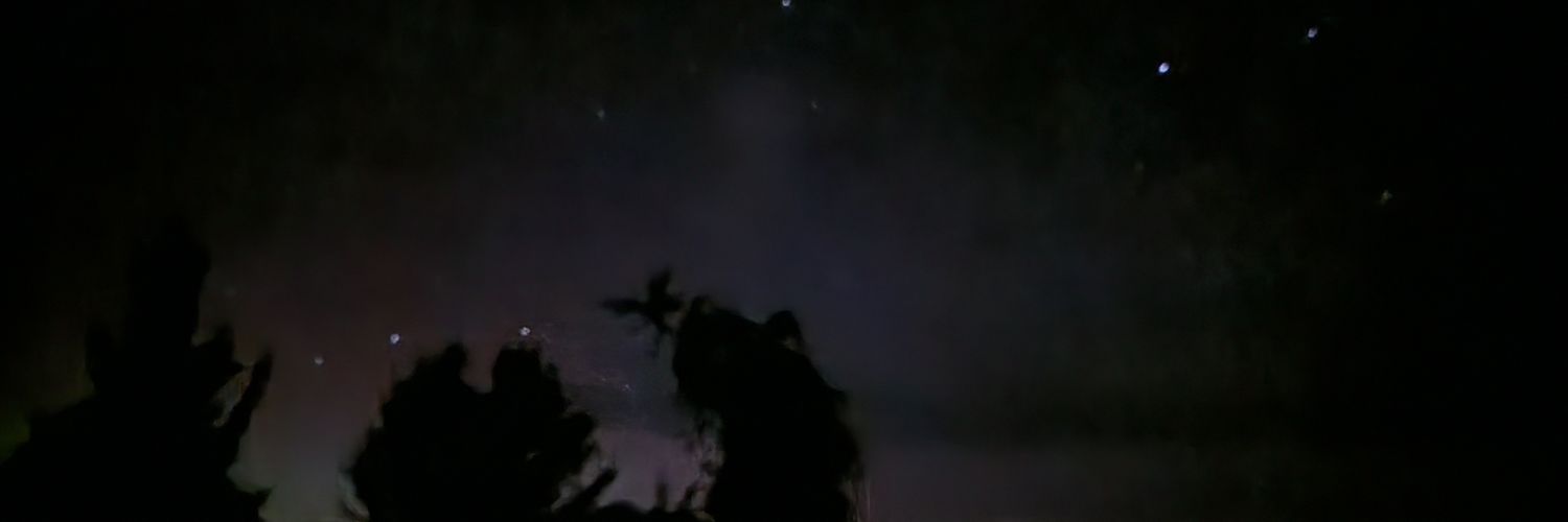 🐾 Dusty Paws 🐾 banner