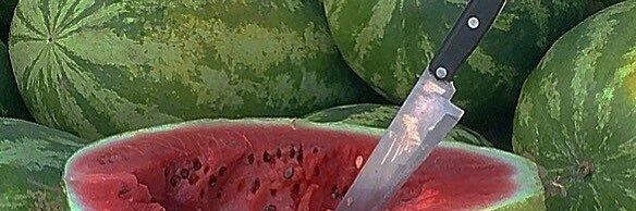 greenflooor's profile banner image