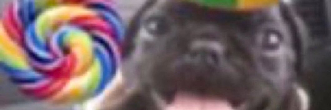 folklwore's profile banner image