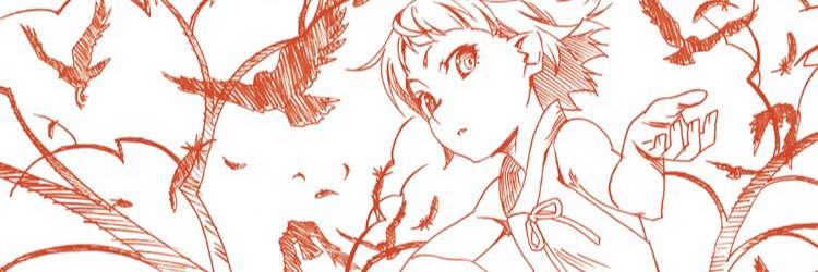 petan_cort's profile banner image