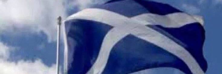 baseball72964's profile banner image