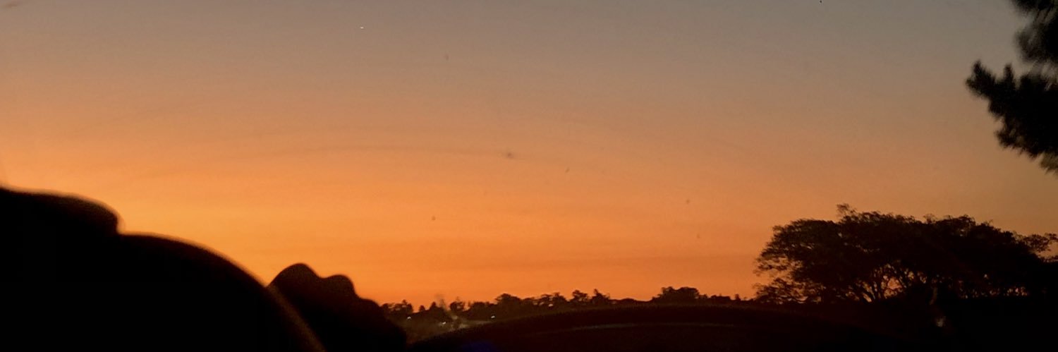 lunicondelo's profile banner image