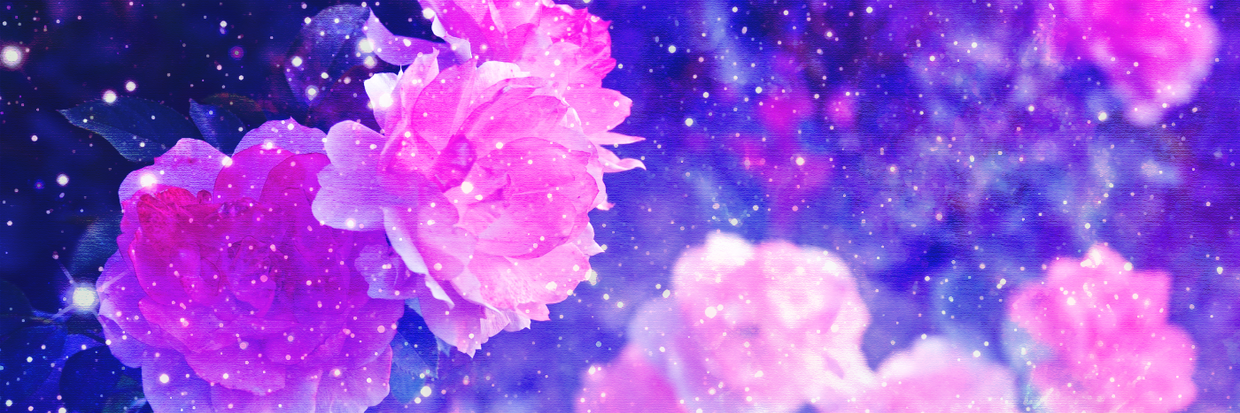 CotiStahl's profile banner image