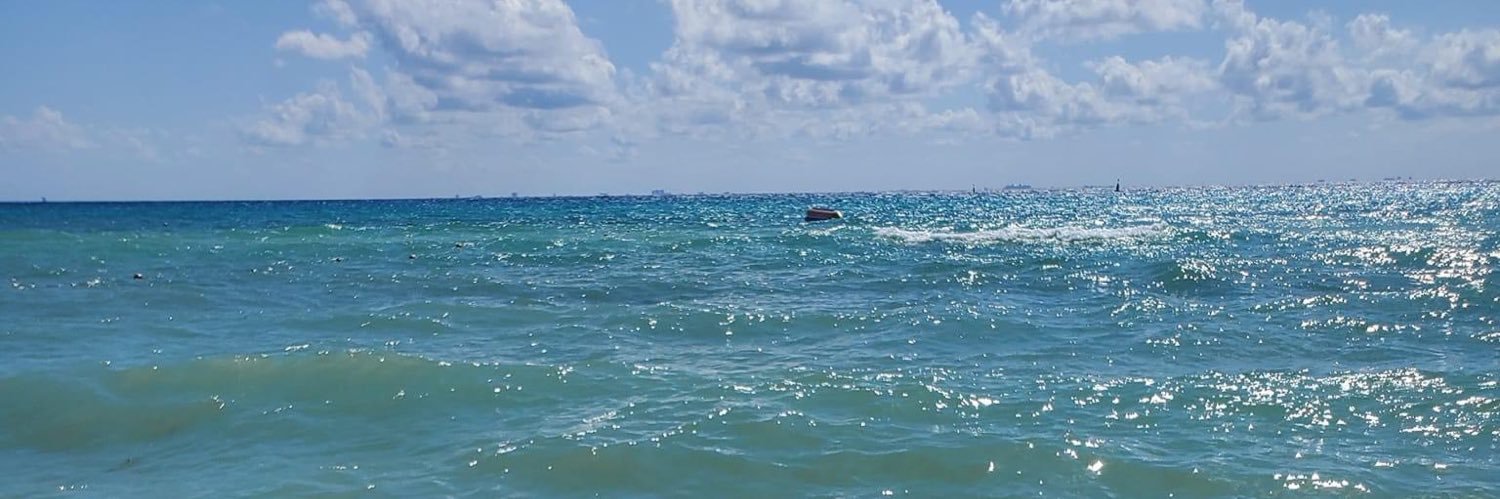 Whitney Hansen banner