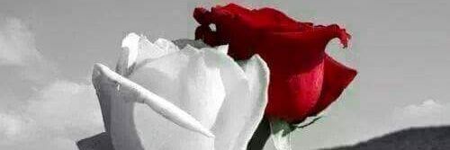 ʚĩɞ ReeM ʚĩɞ banner