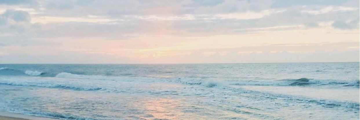 ellemikel's profile banner image