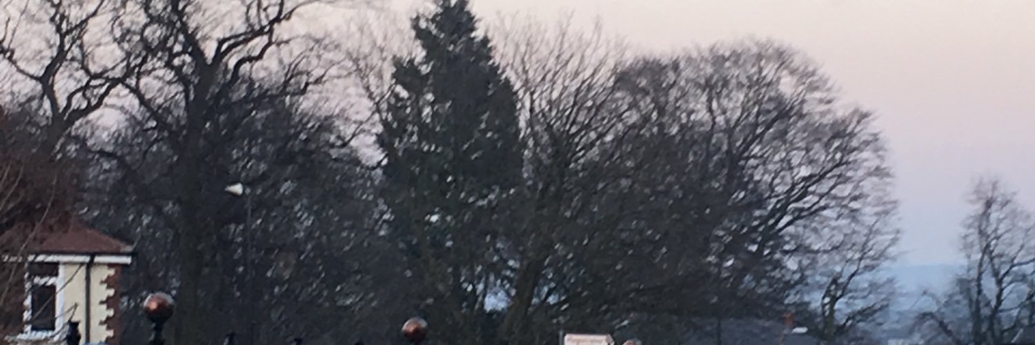 AngelaGhadery's profile banner image