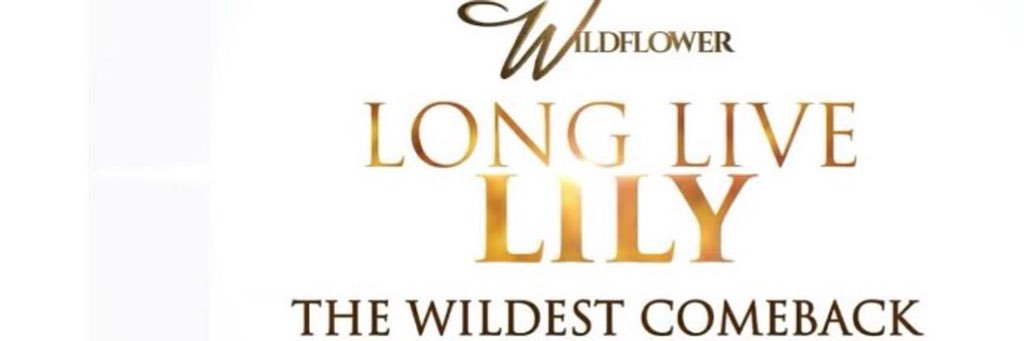 Wildflower_TV's profile banner image