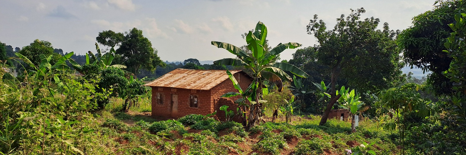 Alan Bernigaud banner