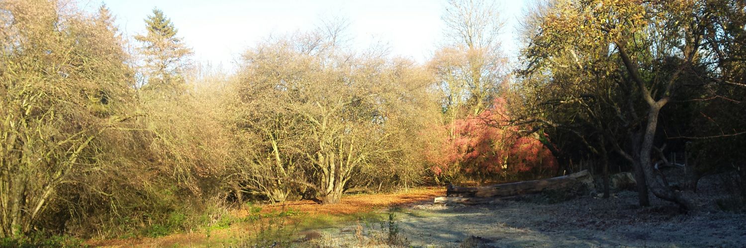 Francesco Moscone banner