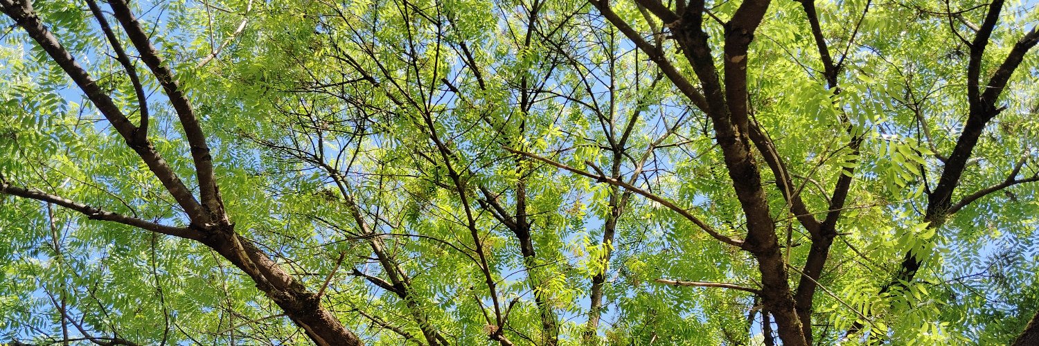 寜君 banner