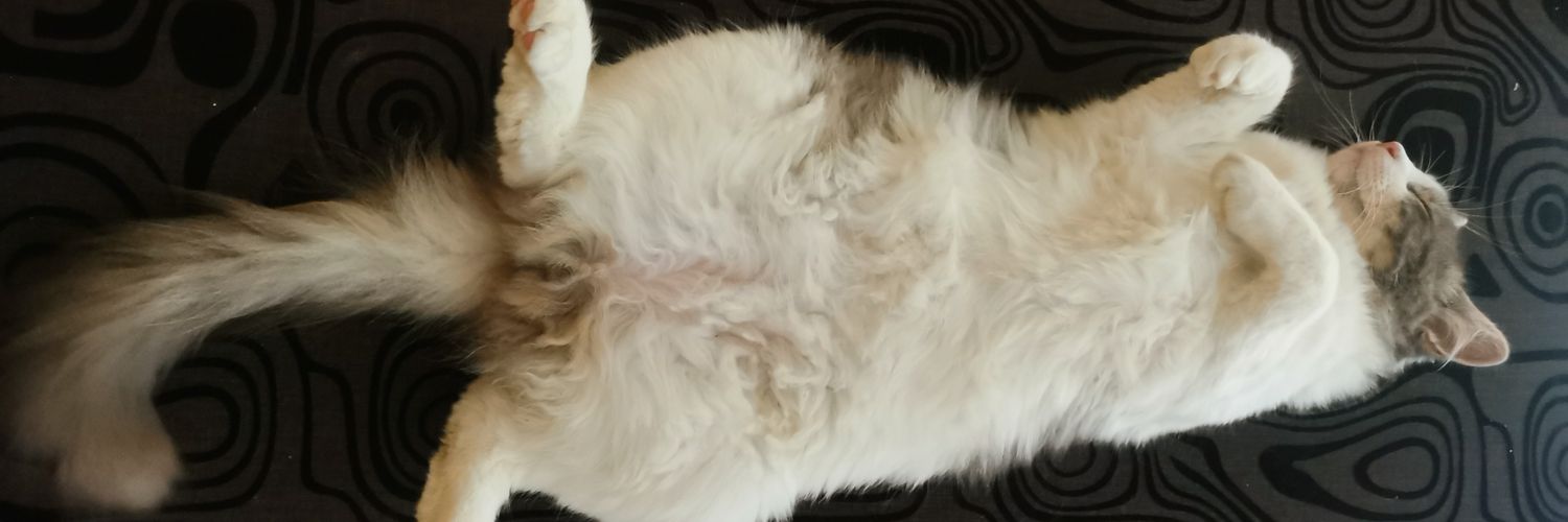 Davidoqzd's profile banner image