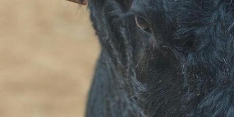 Gregorio1G's profile banner image