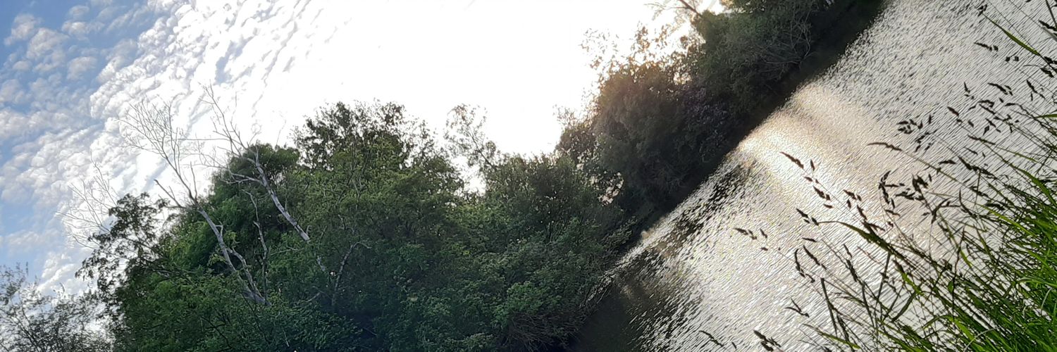 d_brokendreamer's profile banner image