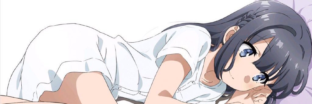 hanayotso's profile banner image