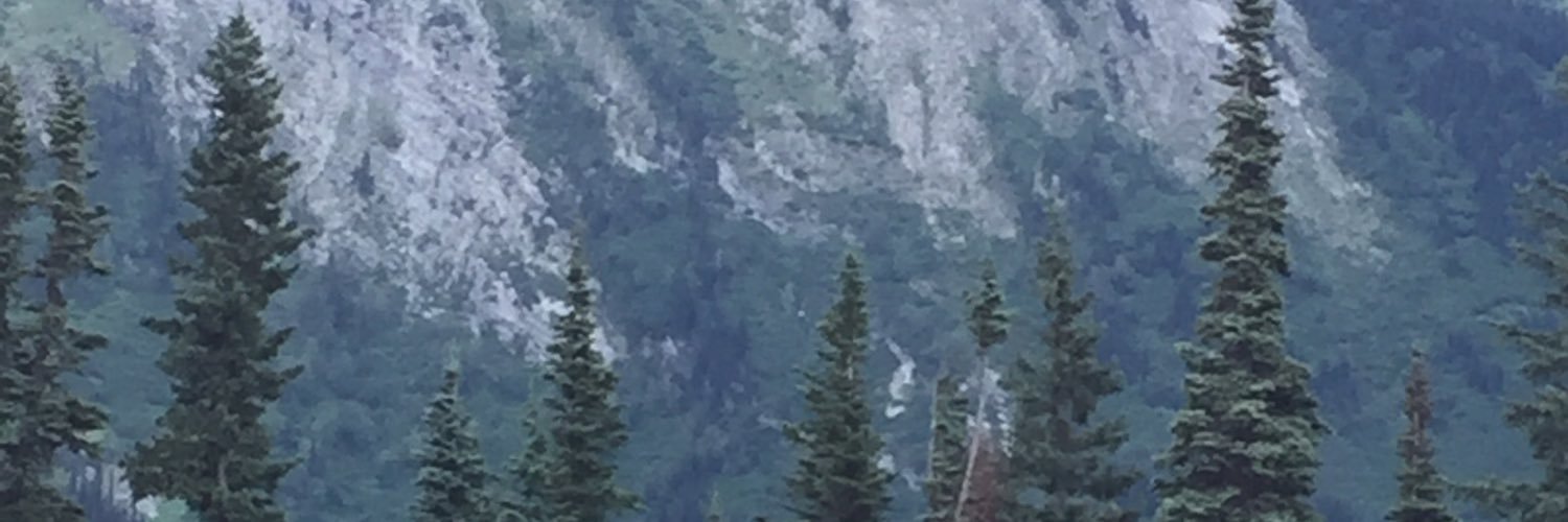 Stephanie Connidis banner