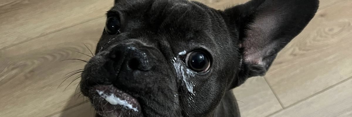 yesillimmsi's profile banner image
