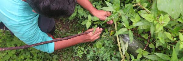 harameco Profile Banner