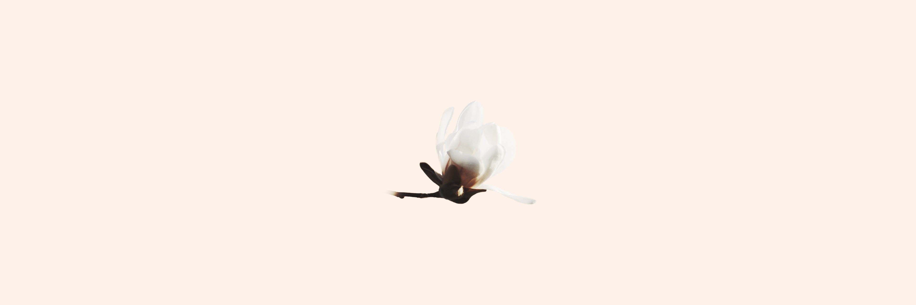 xlioon's profile banner image