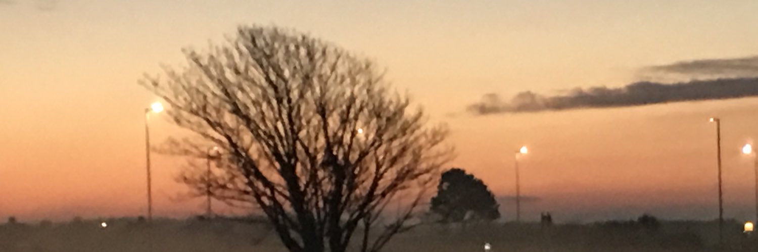 CarolyneOHCSG's profile banner image