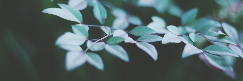 Boo___l's profile banner image