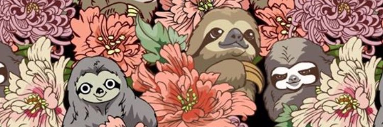 stephtoddx's profile banner image
