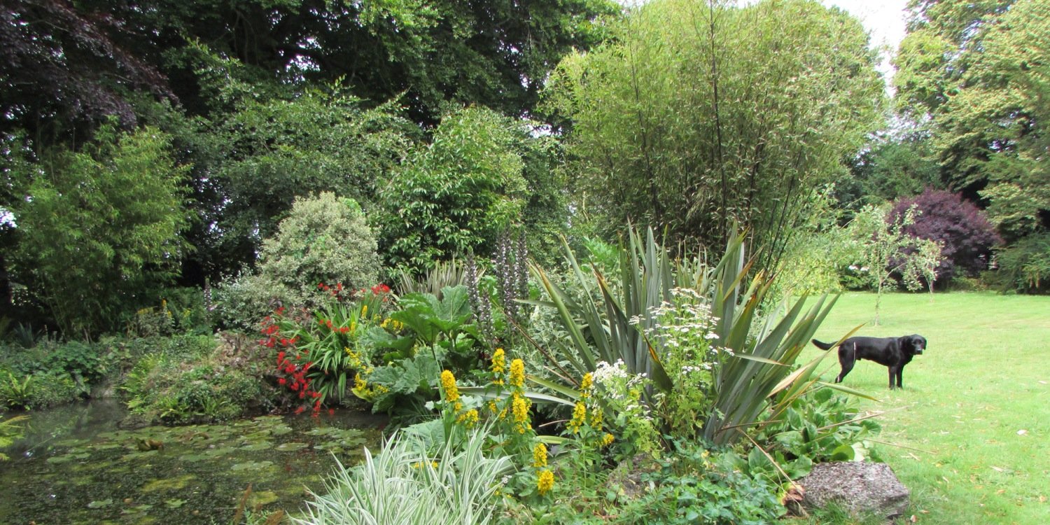 janet gleeson banner
