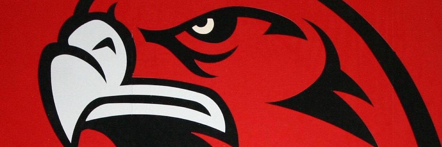 RedHawkBSB's profile banner image