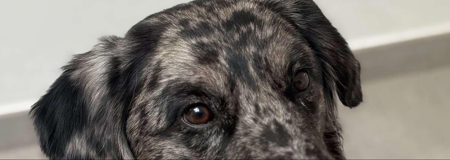 audesmn's profile banner image