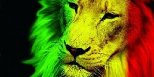 TQMQAPMQM's profile banner image