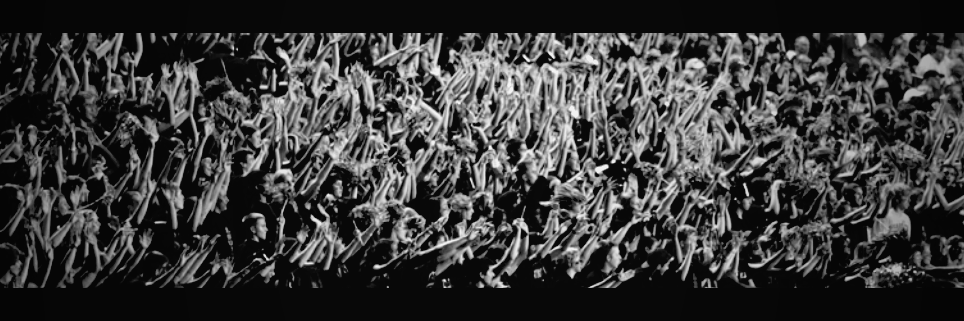 ~Tiger Spirit~ banner