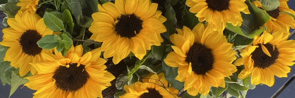 FDConfidential Profile Banner