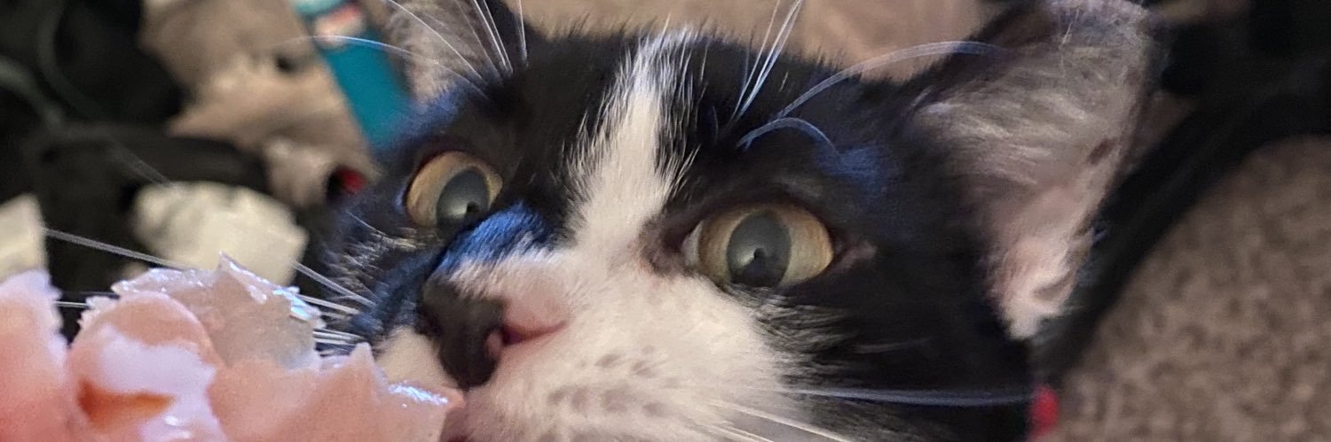 TweetGameUgly's profile banner image