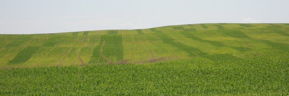 Hawks Agronomy banner