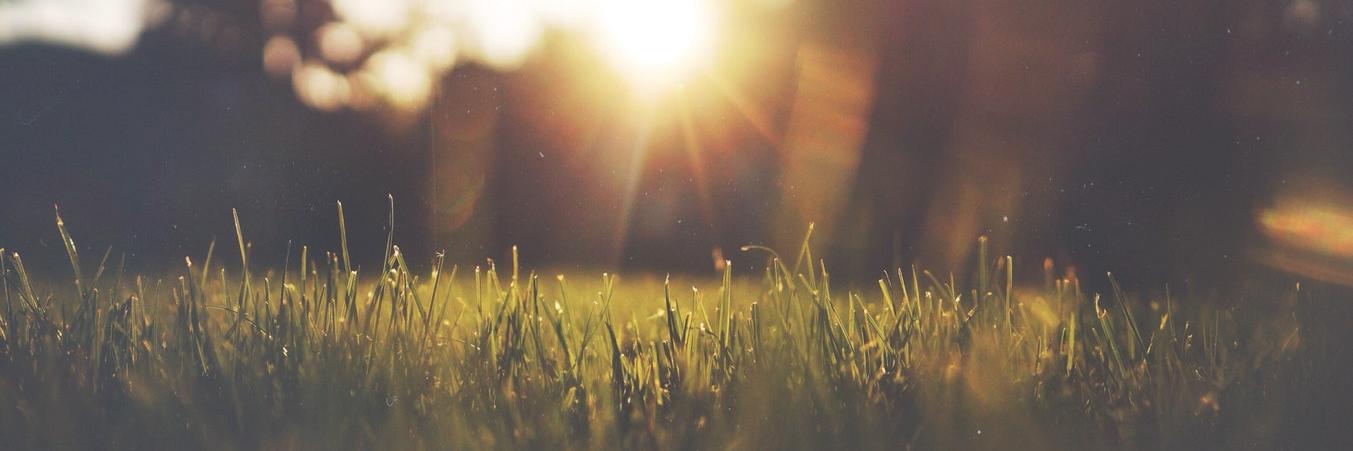 _Eastwell's profile banner image