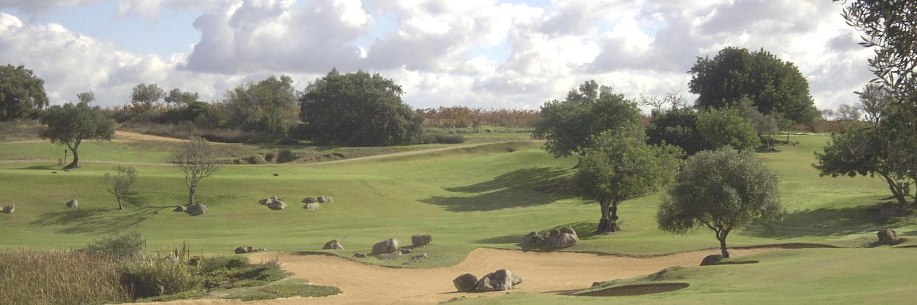 BIGGA East Scotland banner