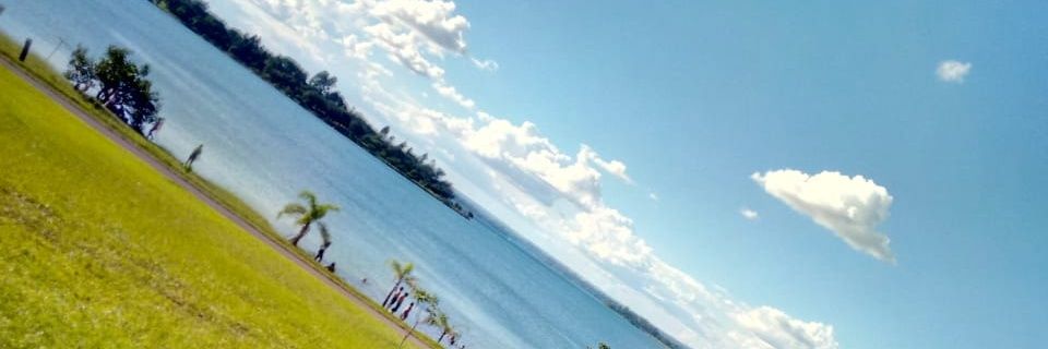separarcai's profile banner image