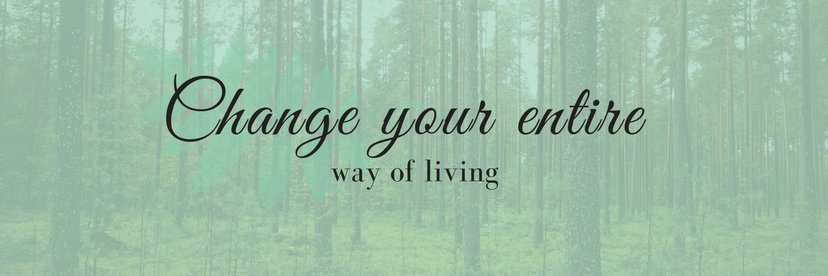 SproutedJourney's profile banner image