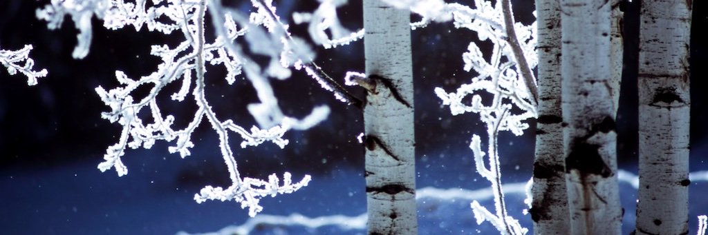 vtwriters's profile banner image
