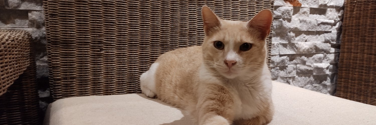 UAWASBORN 🐾​🐦 banner