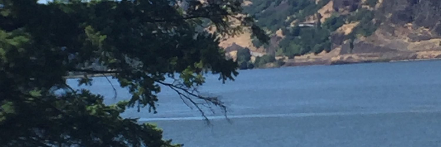denise3s's profile banner image