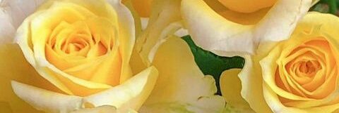 CamoteRico's profile banner image